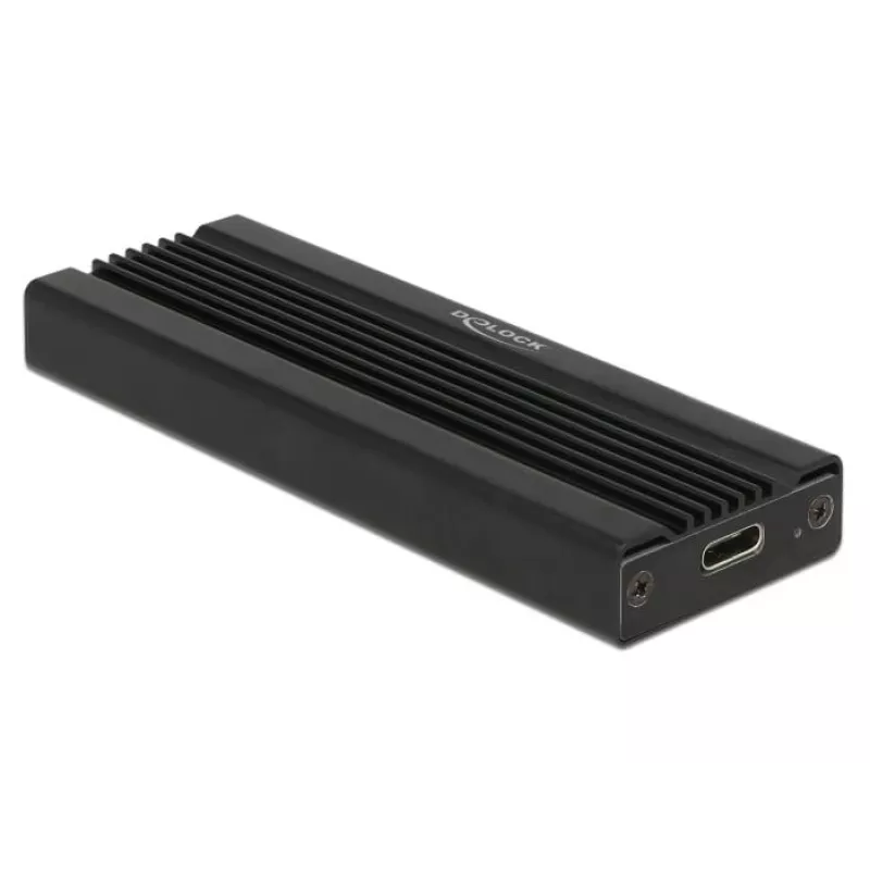 Kortelė DeLOCK 42600 USB 3.2 Gen 1 M.2 NVMe SSD dėklas