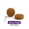 BOSCH Sanabelle Adult Ostrich & Blueberries - sausas ėdalas katėms - 2kg