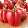 Sėklų granulės Seklos LT Ożarowska Paprika 50 sėklų (dengtos)