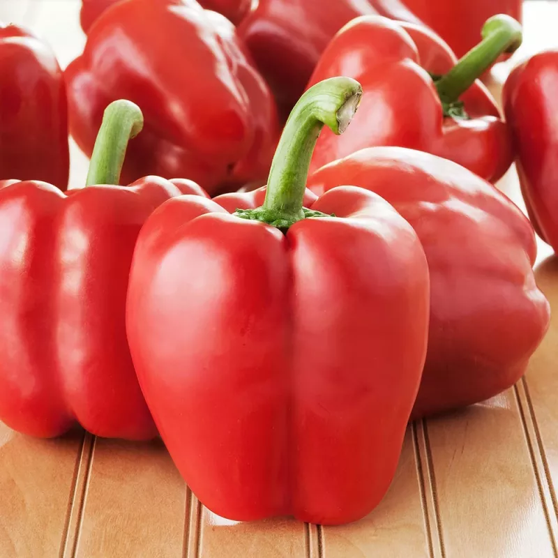 Sėklų granulės Seklos LT Ożarowska Paprika 50 sėklų (dengtos)