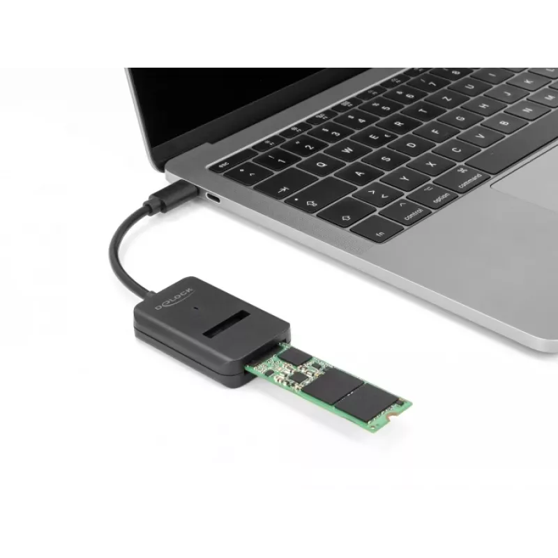 DeLOCK Combo Converter M.2 NVMe PCIe SATA SSD į USB Type-C 10 Gbps