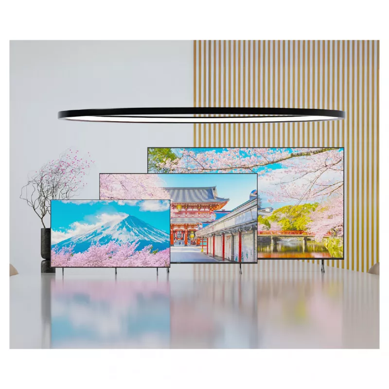 164,0 cm (65 inch) JAPANNEXT JN-IPS650UHD60F 4K IPS monitorius, 3840x2160, 60Hz, HDMI, USB, WLAN, garsiakalbiai, juodas
