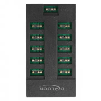 Delock RGB LED šviesų šakotuvas - 10 prievadų - Juodas (64128)