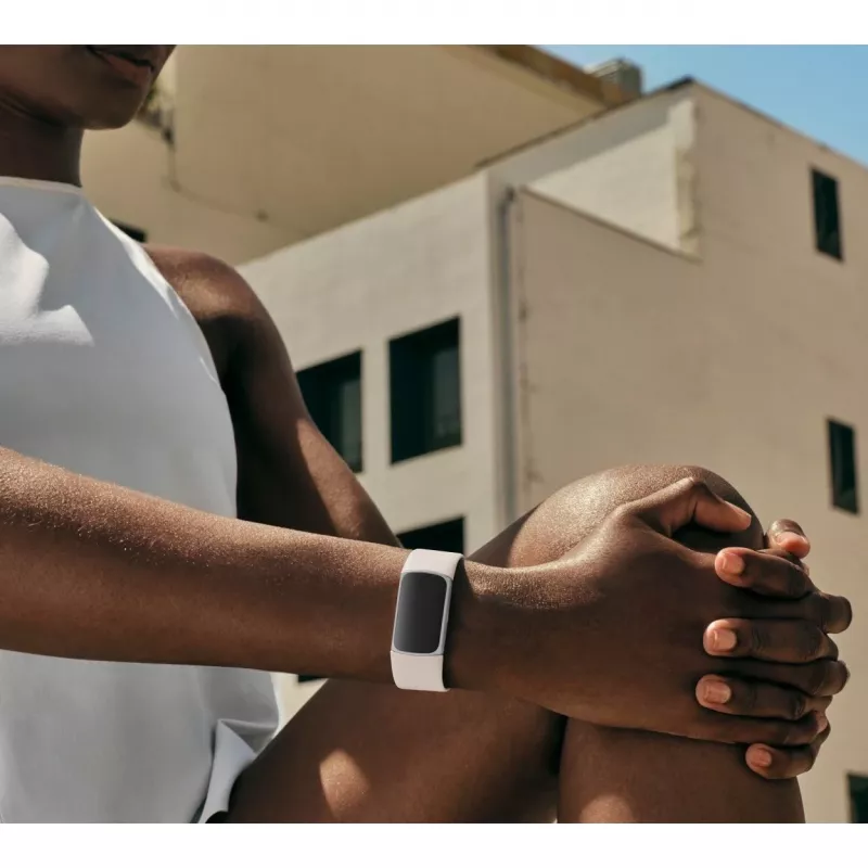 Fitbit GA05185-EU Sidabrinė