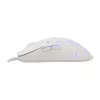 Pelinė White Shark GM-9004 Tristan-2 Balta RGB USB