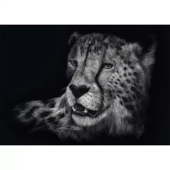 Ashley Rader: Speed - Gepard, In the Sign of Grace, Dėlionė 1000 Detalių
