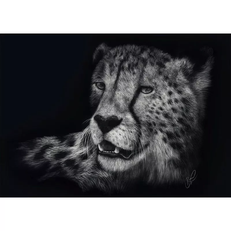 Ashley Rader: Speed - Gepard, In the Sign of Grace, Dėlionė 1000 Detalių