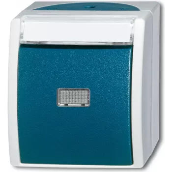 BUSCH-JAEGER Taster/Schliesser 2621WN-53-201 ocean blau 2pol. mit Namensschild 2621WN-53-201 (1484-0-0373)