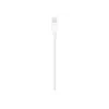 Apple Lightning į USB kabelis 1 m MUQW3ZM/A