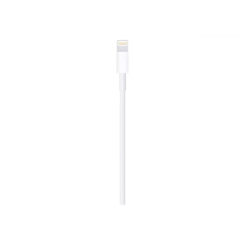 Apple Lightning į USB kabelis 1 m MUQW3ZM/A