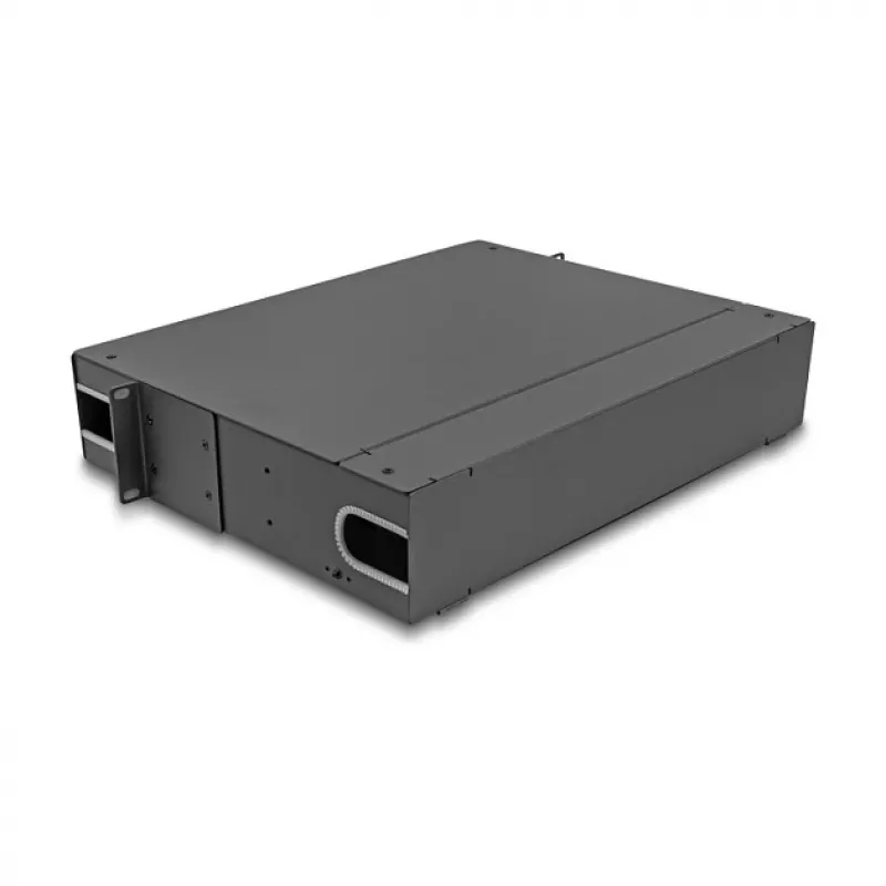 Delock 66752 19 colių šviesolaidžių sujungimo dėžė 2U, be modulių