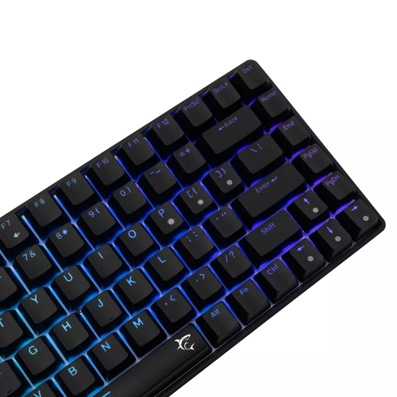 Mechaninė klaviatūra White Shark GK-005121 su RGB apšvietimu ir Blue jungikliais