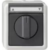 GIRA 015430 Elektros jungiklis juodai pilkas (015430)