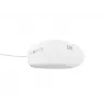 NATEC NMY-1988 pelė USB Type-A optinė