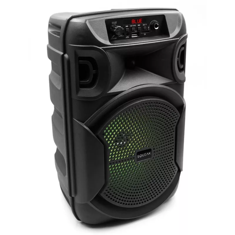 BELAIDIS KOLONĖLĖ SQUEAK PULSETOWER SQ1006, BLUETOOTH 5.3, 30W, JUODA