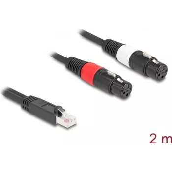 DeLOCK 88176 garso kabelis 2 m RJ-45 2 x XLR 3 kontaktų juodas