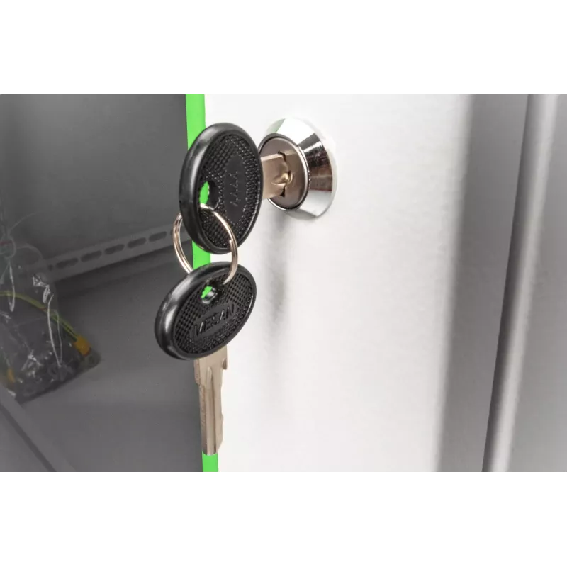 Digitus sieninis tinklo spintos korpusas Dynamic Basic serija - 600x450 mm (PxG)