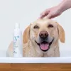 Hipoalerginis šampūnas VETEXPERT 250 ml šunims ir katėms – valomasis, visų tipų kailiui, bet kokio amžiaus