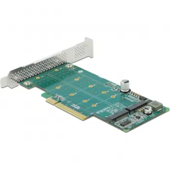 DeLOCK PCI Express x8 kortelė su 2 vidiniais NVMe M.2 Key M lizdais, bifurkacija, Low Profile formato