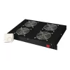 Vėdinama aklinė plokštė Digitus DN-19 FAN-4-HO-SW