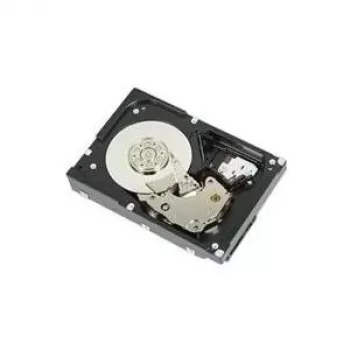 DELL WTJVY vidinis kietasis diskas 2 TB 7200 RPM 3.5 colio NL-SAS