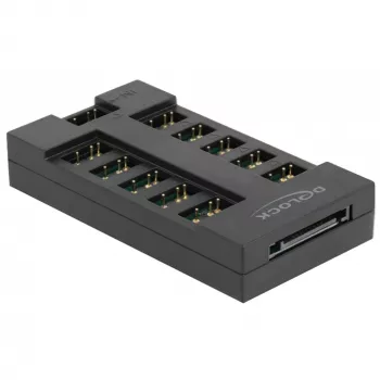 Delock RGB LED šviesų šakotuvas - 10 prievadų - Juodas (64128)