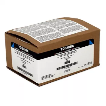 Dynabook T-305PC-R originalus tonero kasetė 1 vnt. Cian