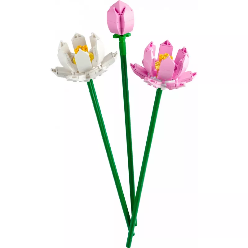 LEGO 40647 Lotosų gėlės — Botaninė kolekcija, modulinis modelis, 220 detalių, aukštis 300 mm, nuo 8 metų