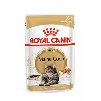 ROYAL CANIN FBN Maine Coon - šlapias ėdalas katėms - paketėlis 12x 85g