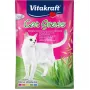 Katės žolės sėklos Vitakraft 50 g – valgomas augalų mišinys katėms, virškinimo ir plaukų kamuoliukų šalinimui