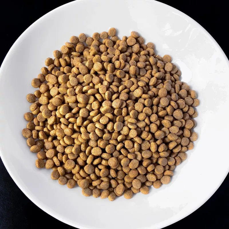 VET RESPONSE Weight Balance – sausas kačių ėdalas – 1,6 kg