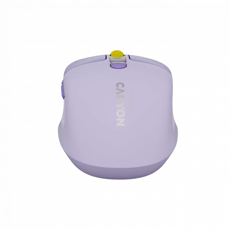 Belaidė pelė CANYON MW-26 LCD Silent Dual Mode Wireless