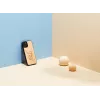 Dėklas man and wood iPhone 12 / 12 Pro — katė su raudona žuvimi