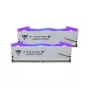 Patriot Viper Gaming RGB XTREME 5 DDR5-8000 RAM, CL 38, Intel XMP 3.0 - 48GB dviejų modulių rinkinys, sidabrinis