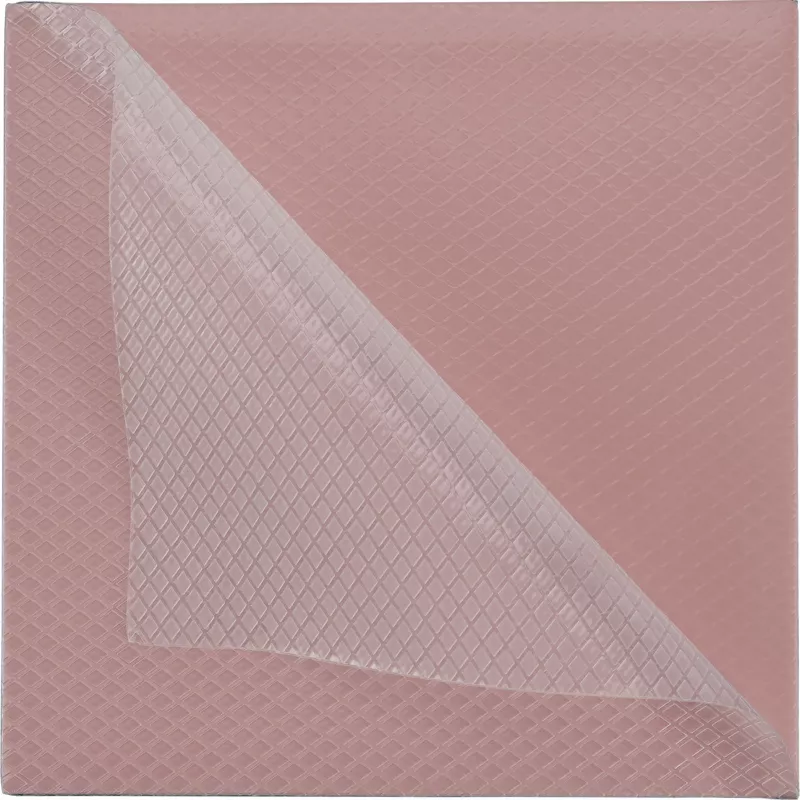 Thermal Grizzly Minus Pad 8 - 100 x 100 x 0,5 mm, 2 vnt.