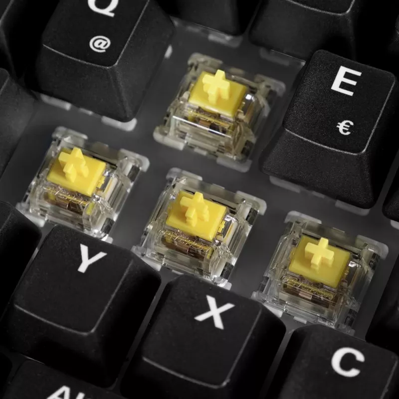 Sharkoon 100068100 Klaviatūra Office USB QWERTZ Vokiška Medienos Spalva 61 Klavišas RGB LED