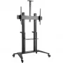 BrackIT Stand HD XXL Hagor 8208 – mobilus stovas ekranams nuo 65 iki 120 colių