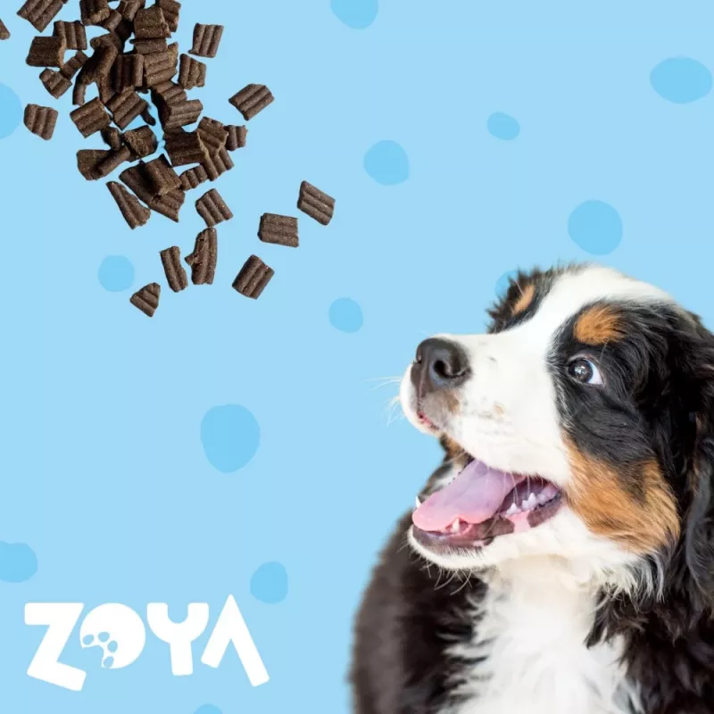 Sausas šunų ėdalas ZOYA ColdPRO Duck 9 kg – suaugusių šunų priežiūra, vieno baltymo, 26% baltymų, 10% riebalų