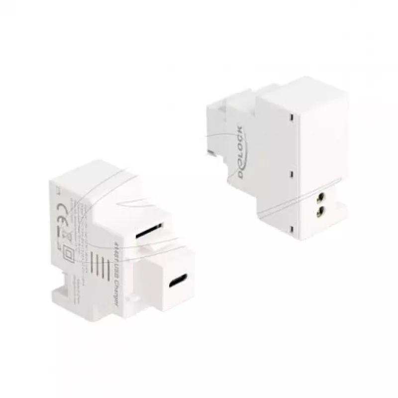 DELOCK Keystone modulis su USB‑C PD 20W įkrovimo lizdu, baltas