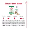 Sausas šunų ėdalas Royal Canin Adult Mini S 8 kg – visavertė mityba mažų veislių suaugusiems šunims