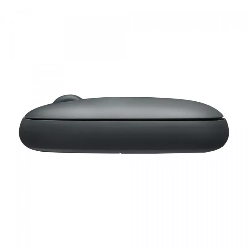 Pelė Rapoo M660 Tylus RF belaidis + Bluetooth
