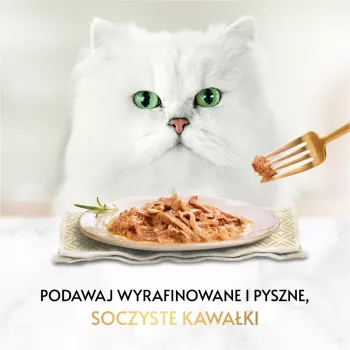 PURINA Gourmet Gold Succulent Delights Ocean fish - šlapias kačių ėdalas - 85g
