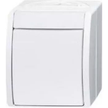 Busch Jaeger išjungimo jungiklis 2601/2 W-54 (2CKA001085A1627)