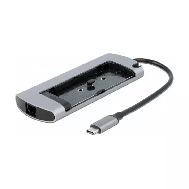 Docking stotelė DeLOCK USB Type-C su M.2 lizdu