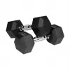 REBEL ACTIVE Guminiai ketaus svarmenys 2x8 kg