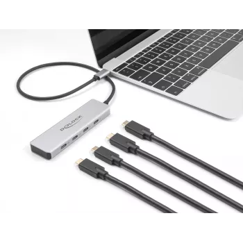 DeLOCK USB Type-C HUB 10 Gbps 4 prievadai aliumininis pilkas