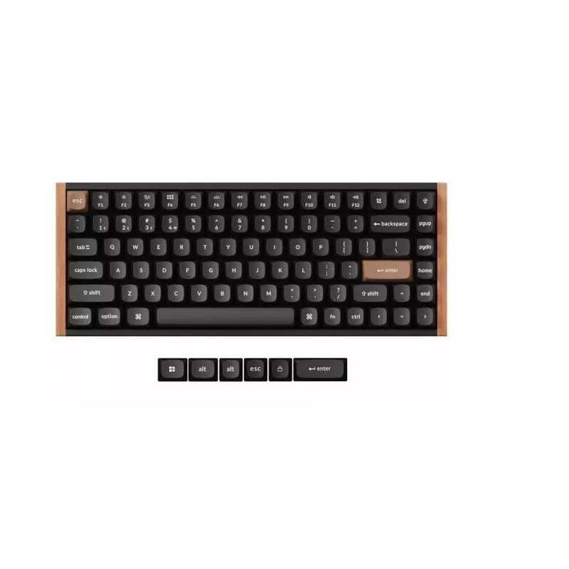 Belaidė mechaninė klaviatūra Keychron K2 Special Edition – kompaktiškas 75% išdėstymas, RGB foninis apšvietimas, juoda, modelis K2H-F1