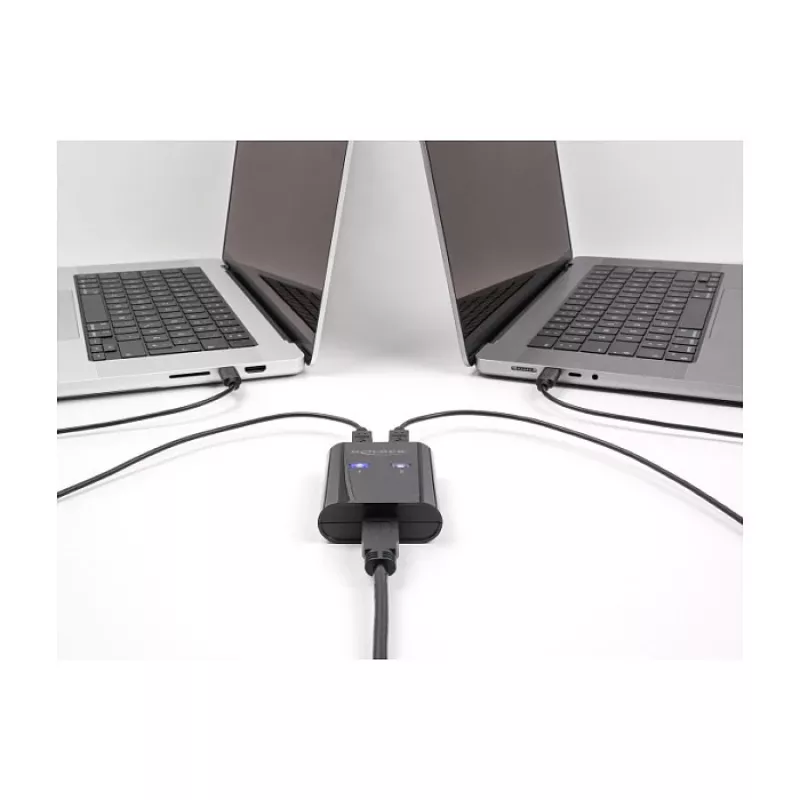 DeLOCK USB jungiklis 2 PC prie 1 įrenginio 5 Gbps juodas