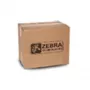 Zebra P1046696-099 spausdinimo galvutės valymo rinkinys