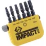 C.K. Bit rinkinys 6 dalių TORX Torsion Control Technologie (T4513)